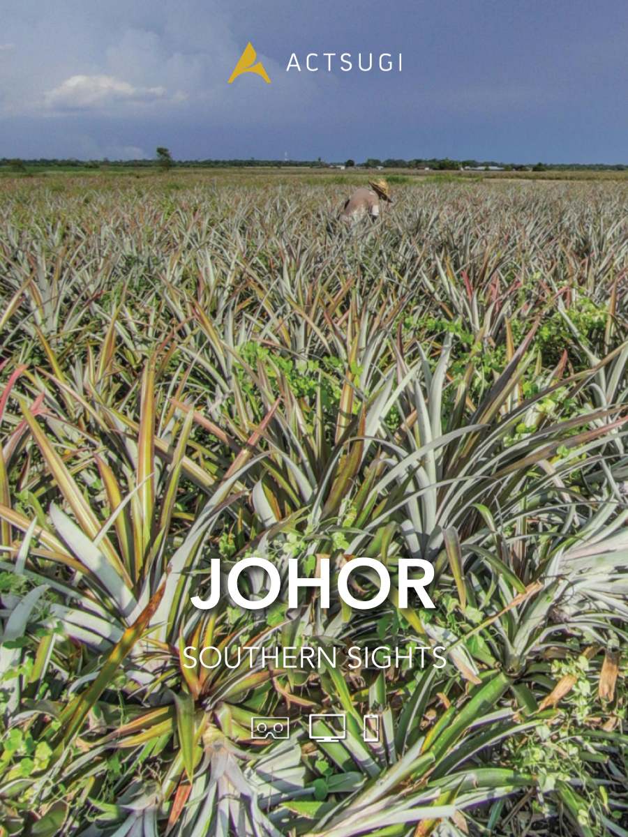 Cover of Johor: Southern Sights