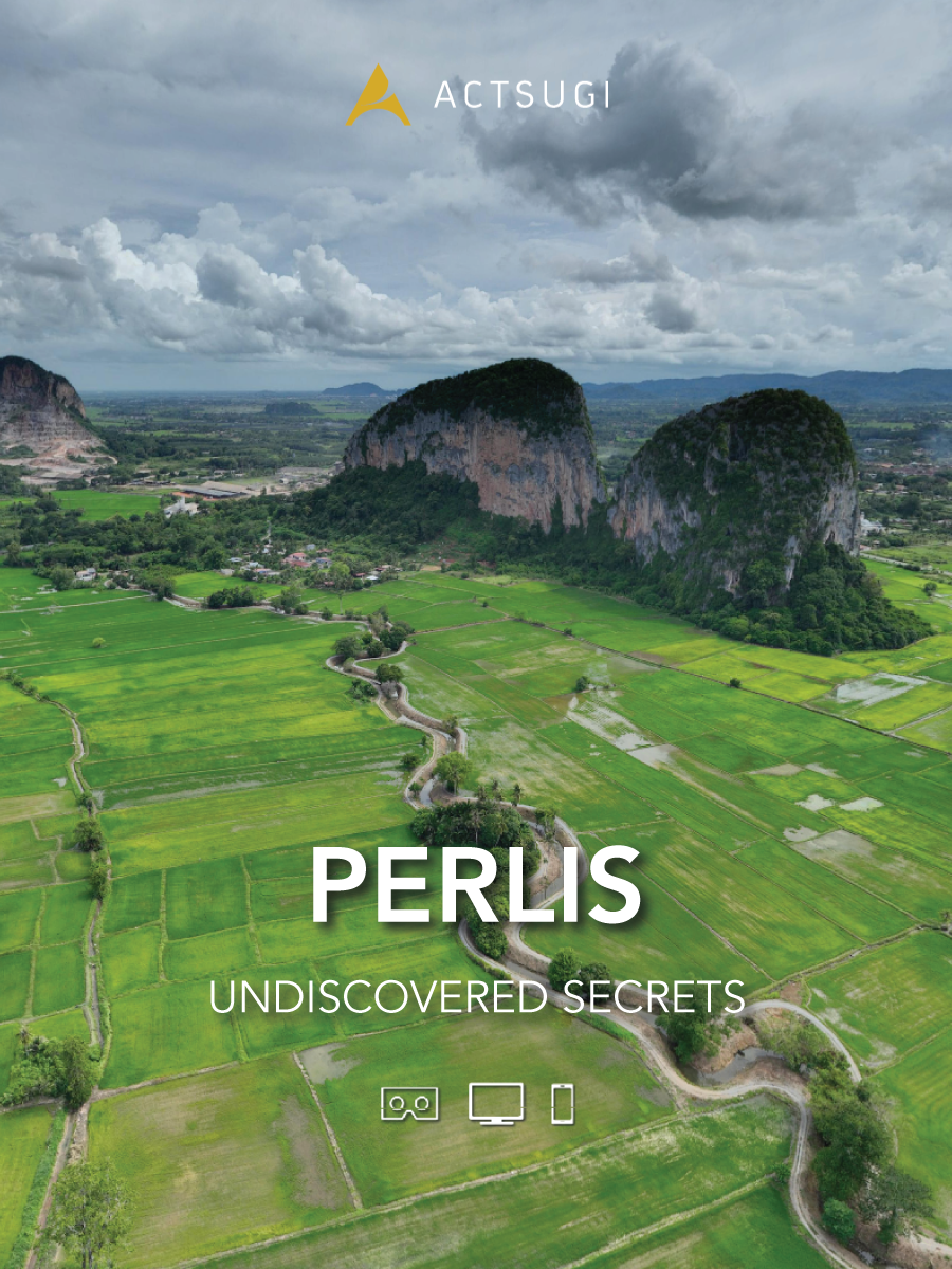 Cover of Perlis: Undiscovered Secrets